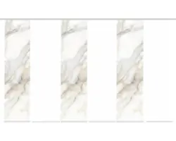 Flächenvorhang-Set Sumani 6er natur 60x245 cm