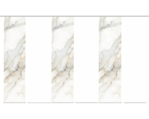 Flächenvorhang-Set Sumani 6er natur 60x245 cm