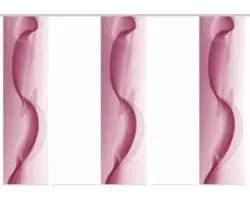 Flächenvorhang-Set Filiz 5er rot 60x245 cm