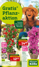 Pflanzen-Kölle Pflanzen-Kölle: Pflanzaktion - bis 28.04.2024