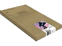 EPSON Seestern, 502, 4-farbig, C13T02V64510; Tintenpatrone