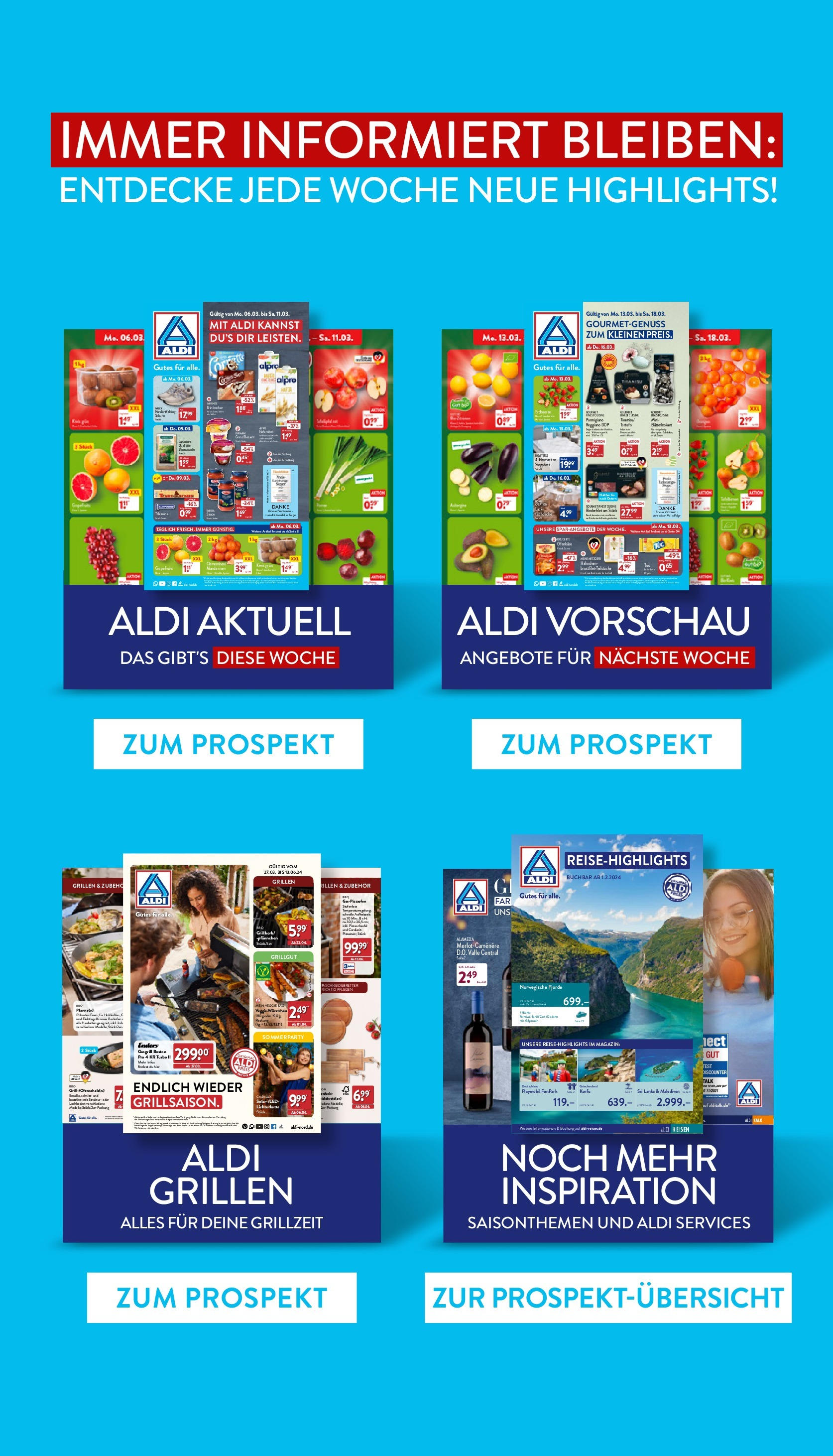Aldi Prospekt 	 (ab 29.04.2024) » Angebote Online | Seite: 41 | Produkte: Grill