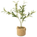 Ernsting's family Kunstpflanze Olivenbaum mit Topf - bis 20.04.2024