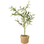 Ernsting's family Kunstpflanze Olivenbaum mit Topf - bis 01.05.2024