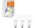 Hornbach LED-Lampe Ledvance SMART A60 E27 / 9 W ( 60 W ) rgbw 3 Stück