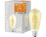 Hornbach LED-Lampe Ledvance SMART ST64 E27 / 6 W ( 60 W ) gold 1 Stück