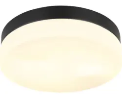 Deckenleuchte Globo VRANOS E27 60 W 2-flammig IP 44 schwarz (32112B)