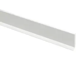 Flachleiste PVC mit Dichtlippe 2,5x30x1500 weiß