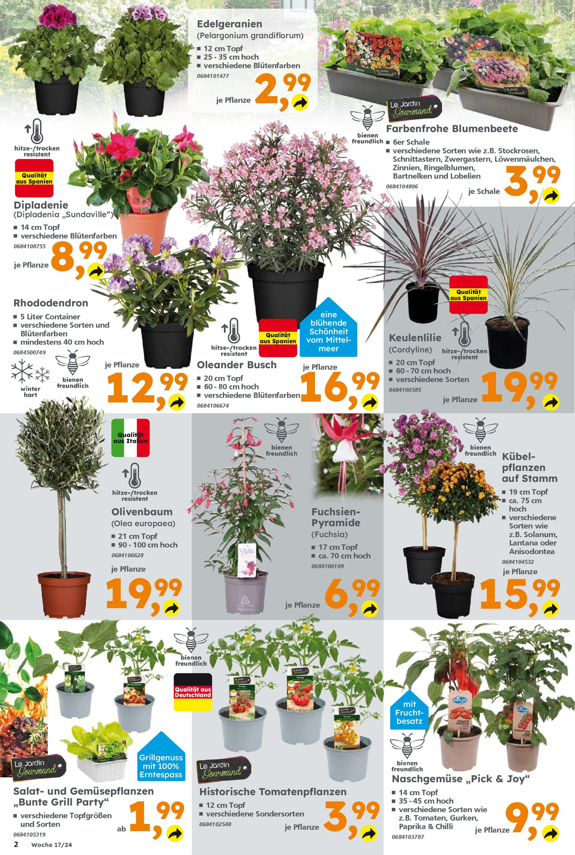 Globus Baumarkt - Thüringen (ab 22.04.2024) zum Blättern | Seite: 2 | Produkte: Grill, Salat