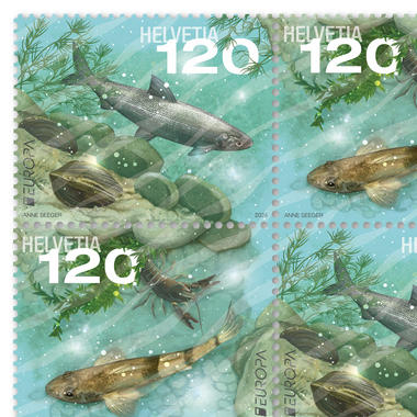 Francobolli CHF 1.20 «EUROPA - Fauna e flora subacquee», Foglio da 16 francobolli