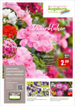 Gartencenter Augsburg Gartencenter Augsburg: Wochenangebote - bis 28.04.2024