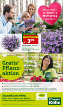 Pflanzen-Kölle Pflanzen-Kölle: Genuss im Frühlingsgarten - bis 05.05.2024