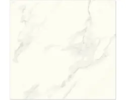 Feinsteinzeug Bodenfliese Calacatta 60x60 cm weiß creme rektifiziert