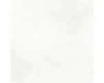 Hornbach Feinsteinzeug Bodenfliese Madox 100x100 cm weiß rektifiziert