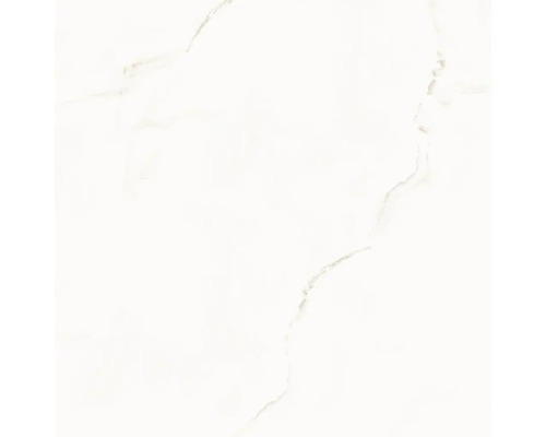 Feinsteinzeug Bodenfliese Onyx White 60x60 cm weiß rektifiziert