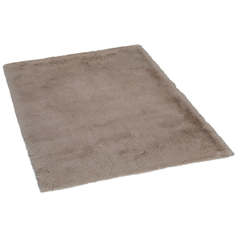 Teppich Moyo-Premium taupe B/L: ca. 120x160 cm