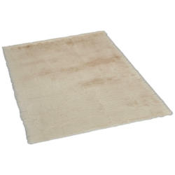 Teppich Moyo-Premium beige B/L: ca. 160x230 cm