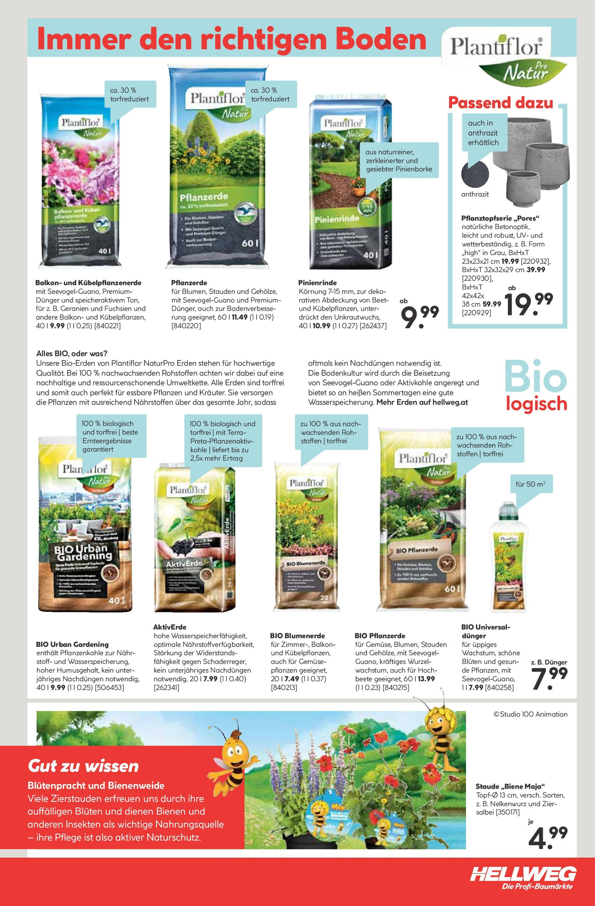 HELLWEG Flugblatt von 08.05.2024 - Aktuelle Angebote | Seite: 21 | Produkte: Gemüse