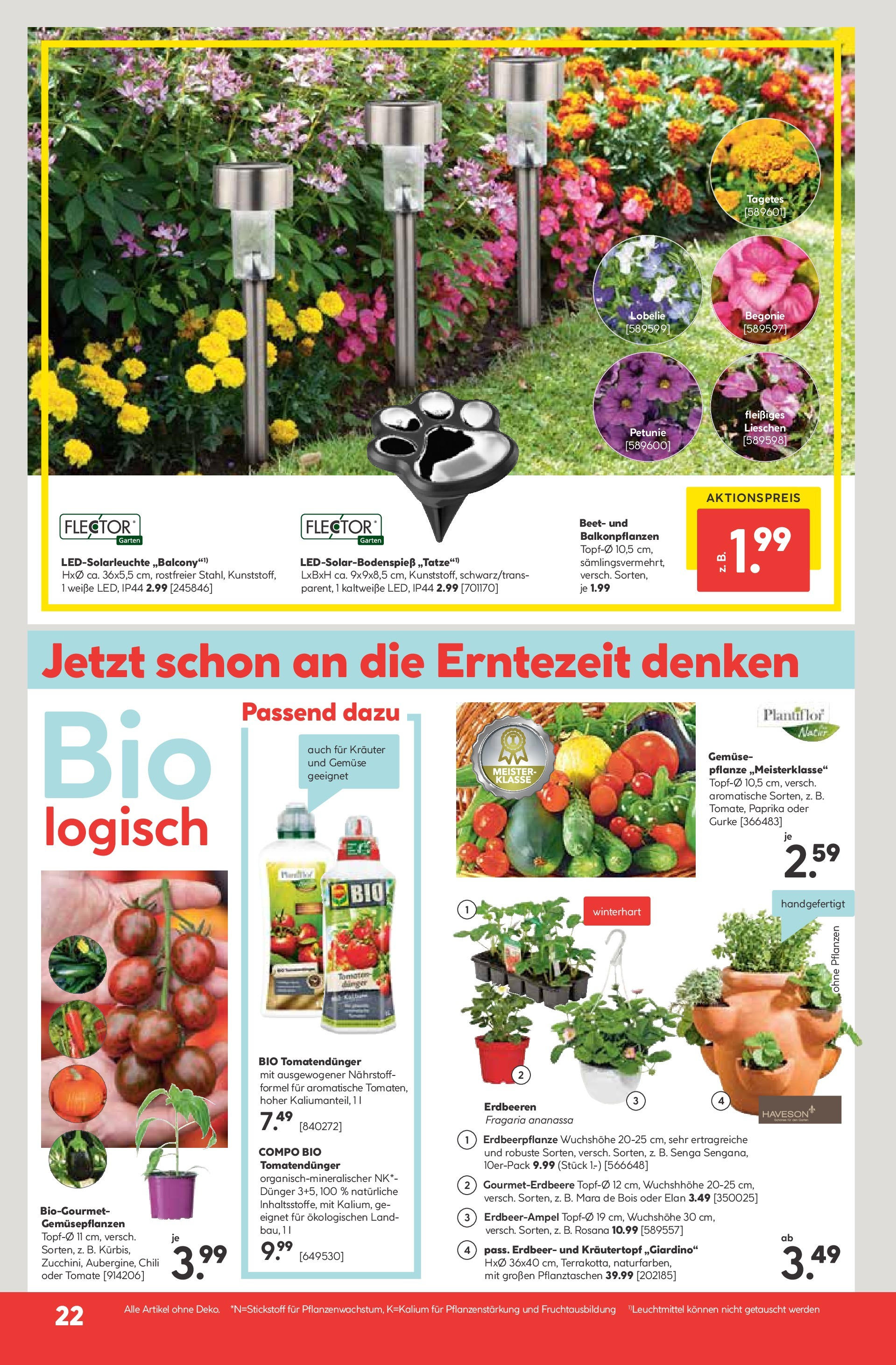 HELLWEG Flugblatt von 08.05.2024 - Aktuelle Angebote | Seite: 22 | Produkte: Erdbeeren, Gemüse, Chili