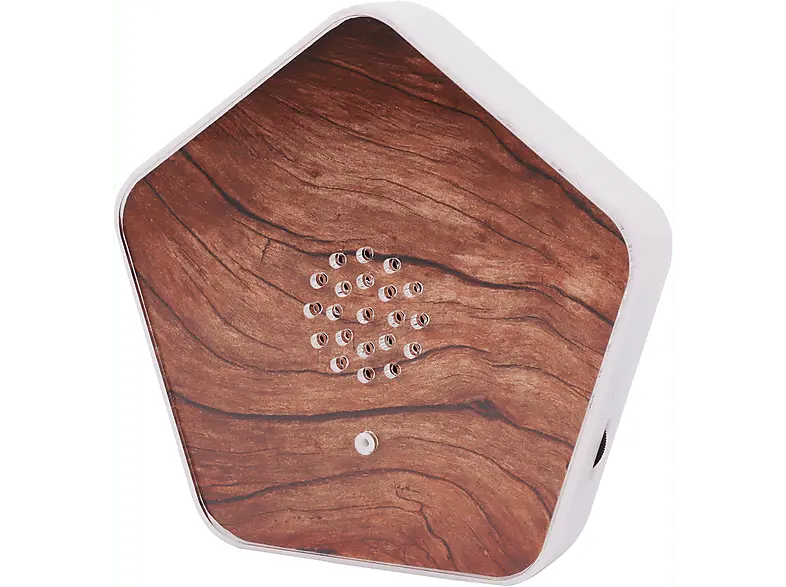 Olympia Sounds of Nature Box