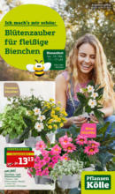 Pflanzen-Kölle Gartencenter Pflanzen-Kölle: Blütenzauber - bis 19.05.2024