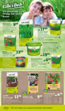 Pflanzen-Kölle Pflanzen-Kölle: Gratis Pflanzaktion - bis 19.05.2024