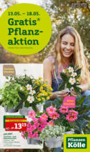 Pflanzen-Kölle Gartencenter Pflanzen-Kölle: Gratis Pflanzaktion - bis 19.05.2024