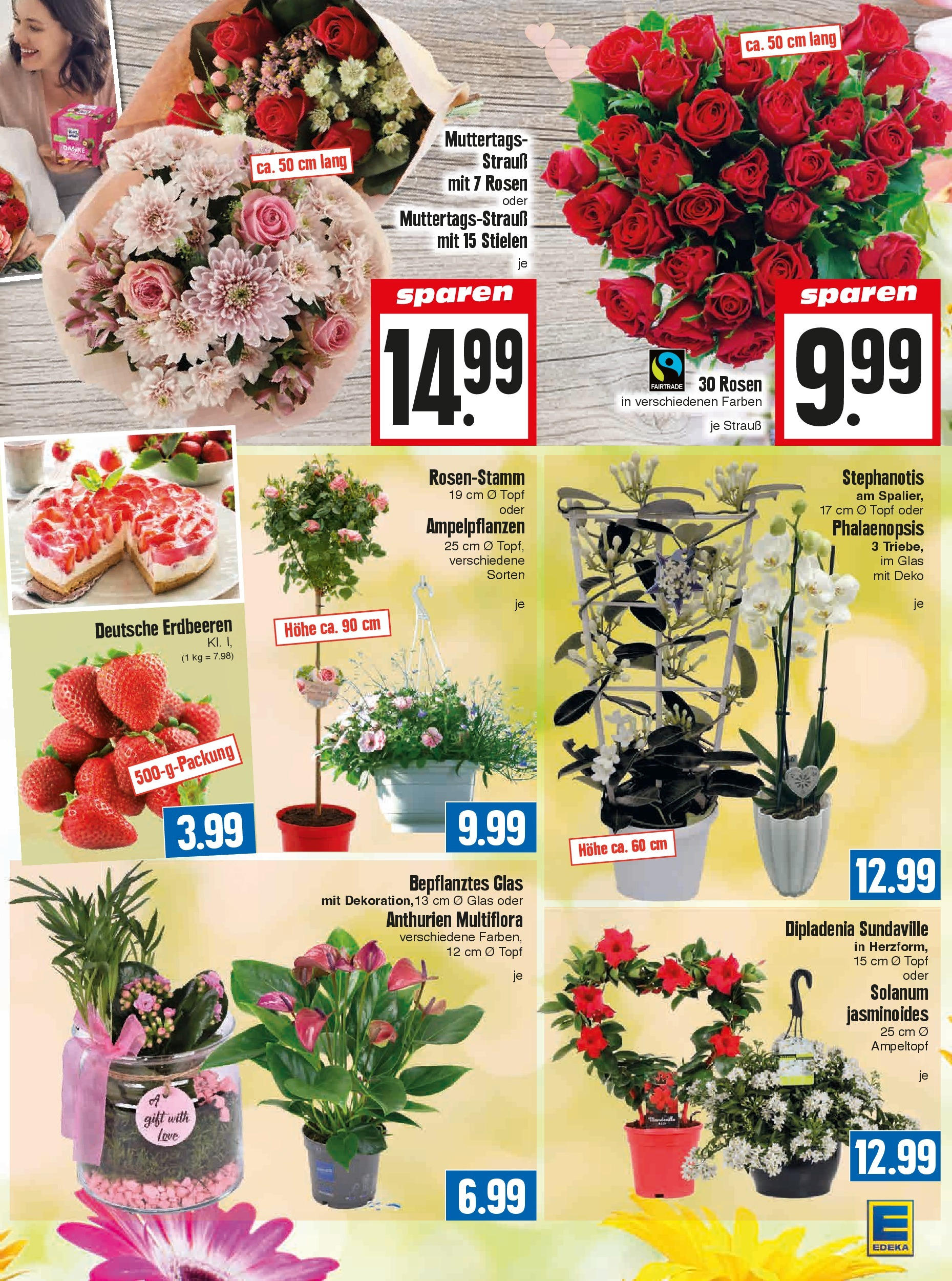 OFFERS - Edeka Hahner: Wochenangebote (ab 05.05.2024) zum Blättern | Seite: 11 | Produkte: Erdbeeren