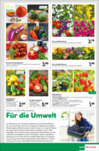 BayWa Bau- & Gartenmärkte BayWa: Wochenangebote - bis 18.05.2024