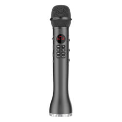 МИКРОФОН DIVA KARAOKE BT L-598