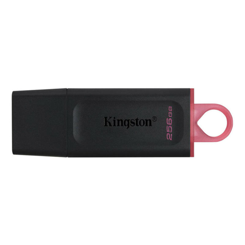 USB памет KINGSTON 256 GB DTX /3.2 DataTraveler Exodia