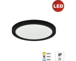 LED Panel Deckenleuchte e2 space², 18 W 1-flammig IP 20, schwarz ( 2427500181996 )