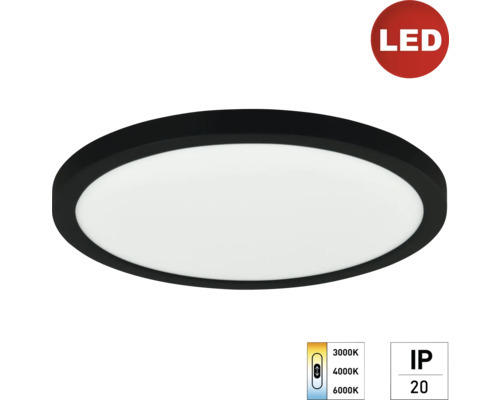 LED Panel Deckenleuchte e2 space², 24 W 1-flammig IP 20, schwarz ( 2427500241996 )