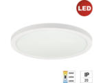 Hornbach LED Panel Deckenleuchte e2 space², 24 W 1-flammig IP 20, weiß ( 2427500240196 )