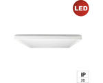 Hornbach LED Deckenleuchte Aufbauleuchte e2 Twice² up&down, 18 W 1-flammig IP 20, weiß ( 2460504180196 )