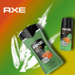 dm-drogerie markt AXE Bodyspray Jungle Fresh Palm Leaves & Amber Scent - bis 31.05.2024