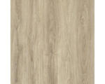 Hornbach Kunststoffpaneel GX Wall+ Natural Oak 5x300x600 mm