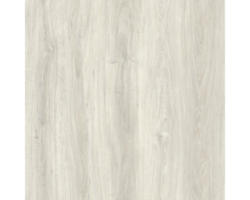 Kunststoffpaneel GX Wall+ White Oak 5x300x600 mm