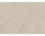 Hornbach Kunststoffpaneel GX Wall+ Cream Slate 5x600x1200 mm