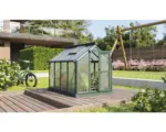Hornbach Minigewächshaus Vitavia Merlin Hohlkammerplatten 4 mm 87,2 x 111,6 cm smaragd