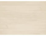 Hornbach Grosfillex Kunststoff- Wandpaneel Attitude Holz beige 8x375x1200 mm