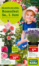 Pflanzen-Kölle Gartencenter Pflanzen-Kölle: Rosenfest - bis 02.06.2024