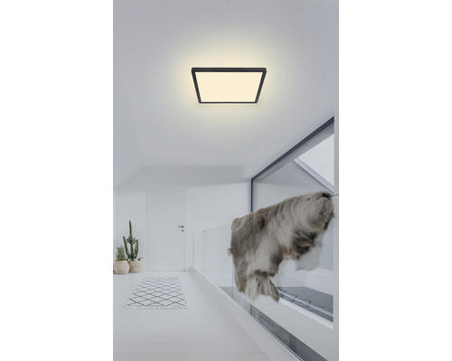 LED Deckenleuchte Globo SAPANA 18 W 1-flammig IP 44 schwarz ( 41563-18B )