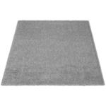 Teppich Emilia grau B/L: ca. 80x140 cm