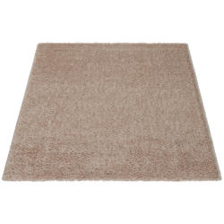 Teppich Emilia beige B/L: ca. 80x140 cm