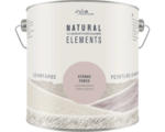 Hornbach StyleColor NATURAL ELEMENTS Wandfarbe Stärke violett 2,5 l