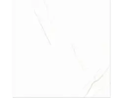 Steinzeug Bodenfliese Davos 60x60 cm weiß glänzend