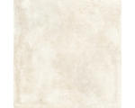 Hornbach Feinsteinzeug Bodenfliese Roma 60x60 cm beige matt