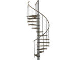 Hornbach Pertura Spindeltreppe Skaia Buche massiv Ø 120 cm Grau 12 Stufen 13 Steigungen