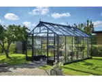Hornbach Gewächshaus Juliana Premium inkl. Sicherheitsglas 3 mm 296 x 439 cm anthrazit